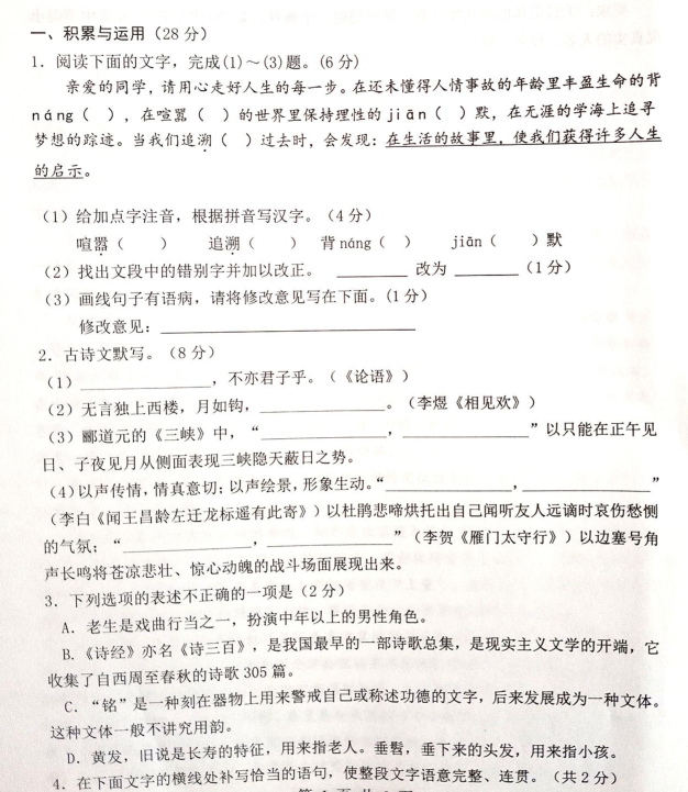 河南省2020年九年级中招镇平二模语文卷（图片版）